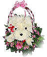 Flower of Thaialnd: Puppy Love1